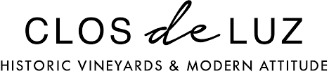 Logo de Viña Clos de Luz